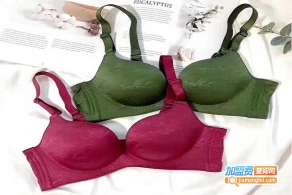 火狐狸内衣加盟门店