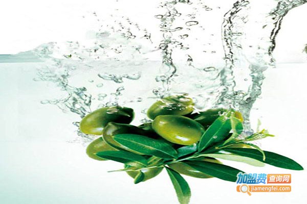 九尊太保植物饮料加盟门店