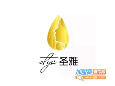 圣雅舞蹈加盟费