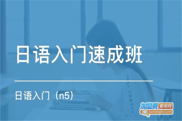 聆文外语加盟费