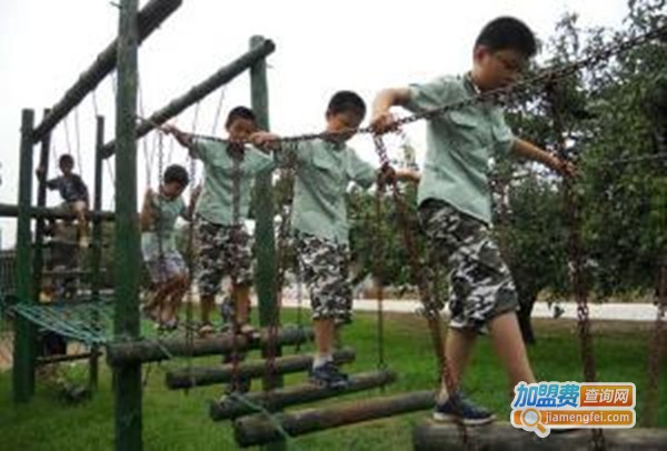 蓝明星夏令营加盟费