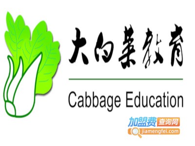 大白菜教育加盟费
