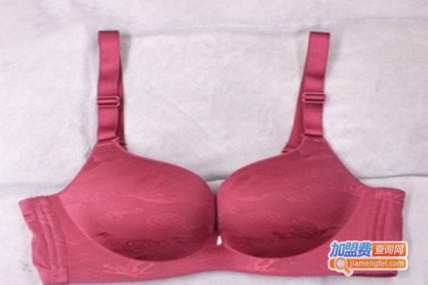 火狐狸内衣加盟门店