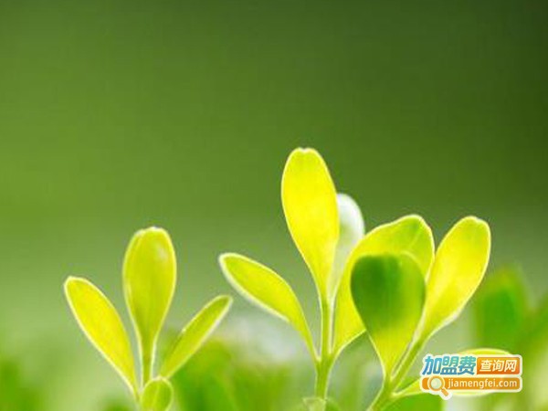 爱尚英语培训加盟费