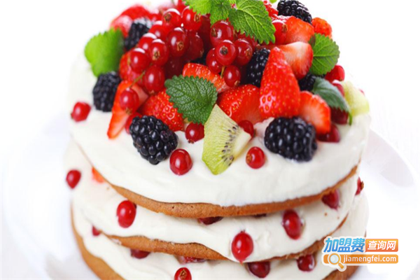 优果鲜果切加盟门店