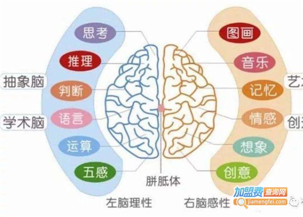 幼儿右脑英语加盟