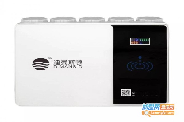 迪曼斯顿净水器