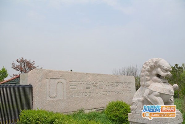 索田硅藻泥加盟费