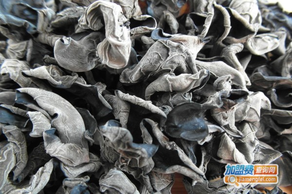 恒志木耳加盟费