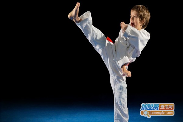 伊布跆拳道加盟费