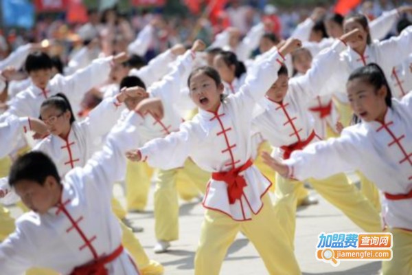 金龙少儿武术培训加盟费