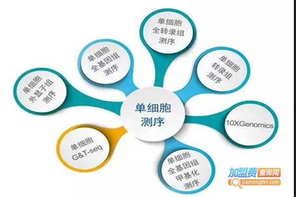 安诺教育加盟费