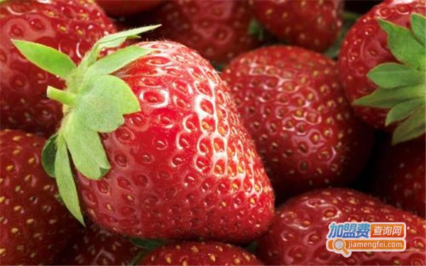 水果之家加盟费