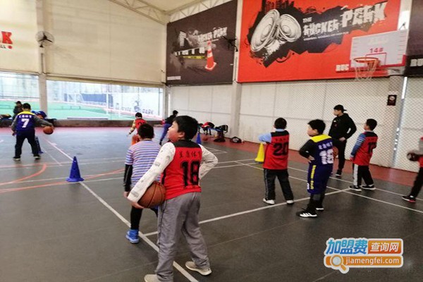 坚果篮球培训加盟费