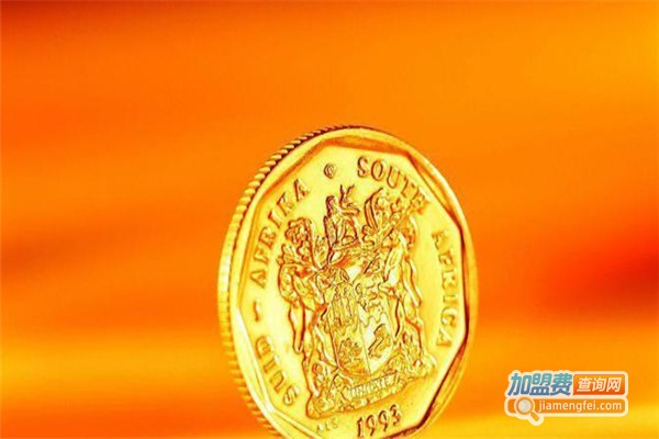 视点灵动加盟费