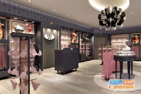 峰燕内衣加盟门店