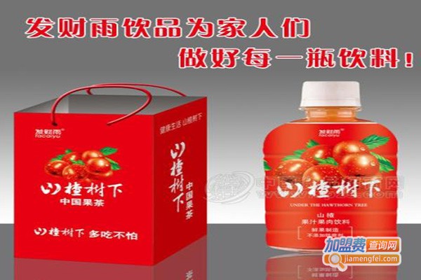 山楂树下饮料加盟费