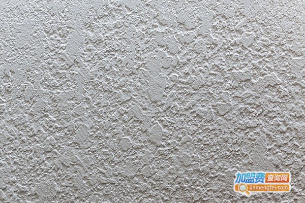 秀彩第三墙墙艺漆加盟门店