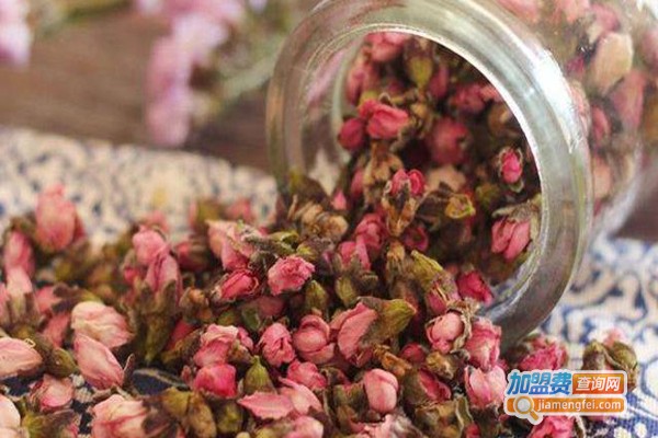 桃花美容加盟费