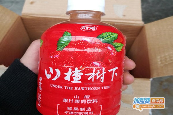 山楂树下饮料加盟费