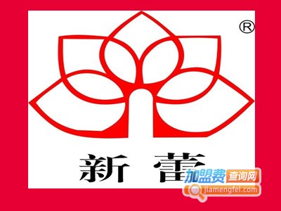 新蕾国际象棋俱乐部加盟费