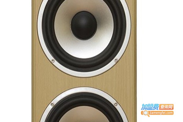 麦迪森平板音响加盟费