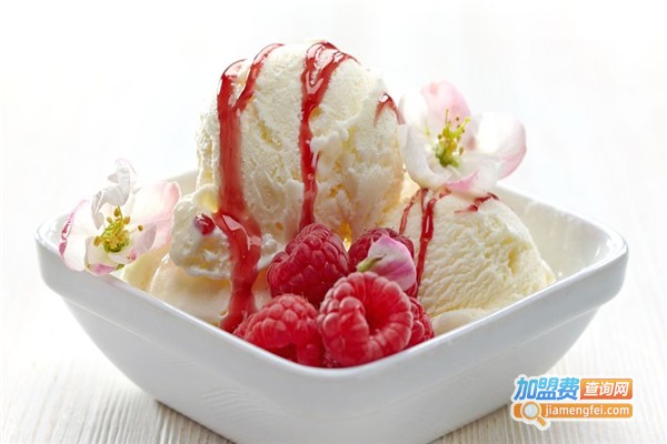 百纯意大利冰淇淋加盟费