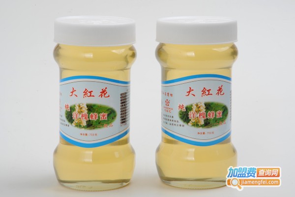 大红花蜂蜜加盟