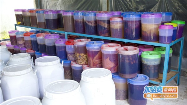 瀚琛涂料加盟费