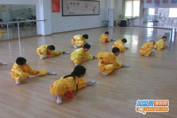 金龙少儿武术培训加盟店