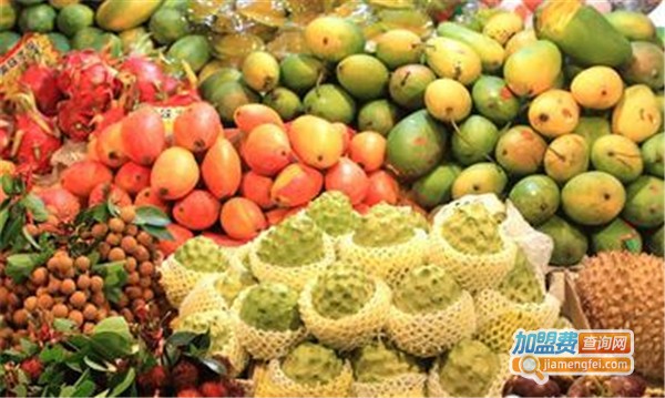 水果之家加盟费