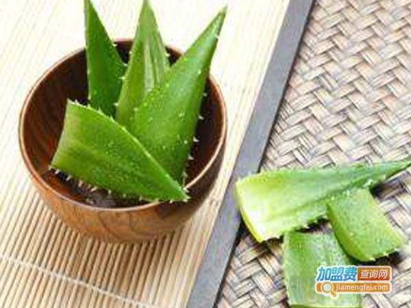 乐活祛痘加盟费