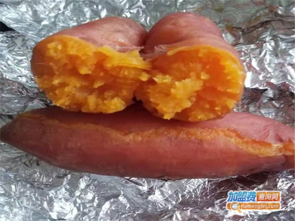 坛子烤红薯加盟费