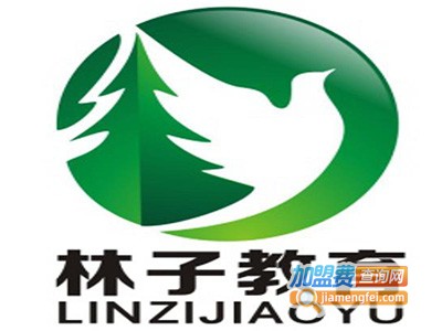林子教育加盟费