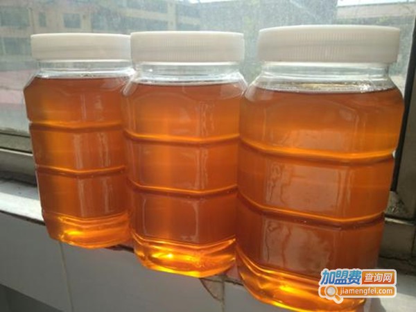 太白土蜂蜜加盟费