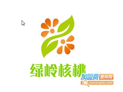 绿岭核桃零食加盟费