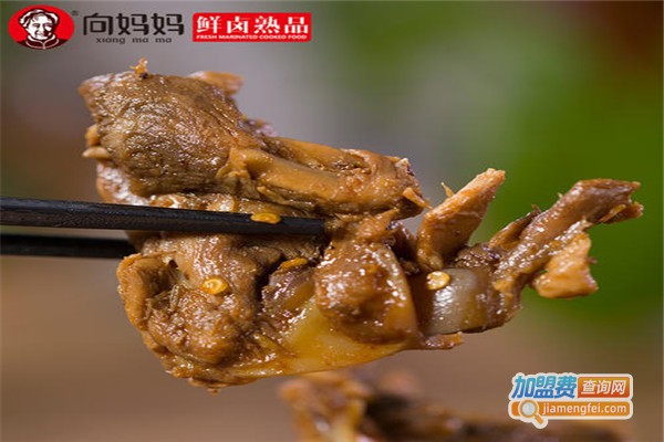 向妈妈休闲食品加盟费