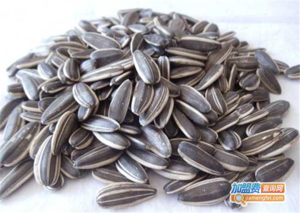 老孟瓜子加盟费