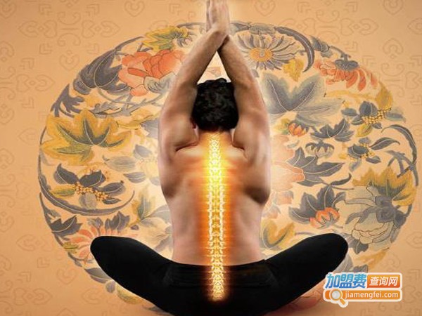 生命之树脊椎养生加盟费