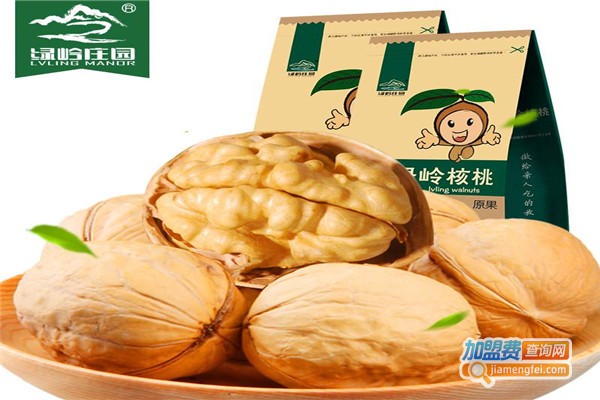 绿岭核桃零食加盟费