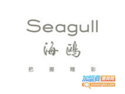 海鸥相机加盟费