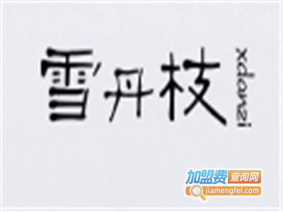 雪丹枝女装加盟费