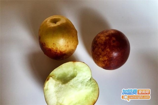 振化枣业加盟费