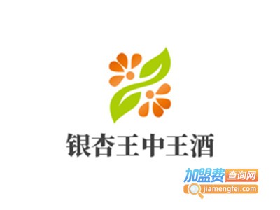 银杏王中王酒加盟费