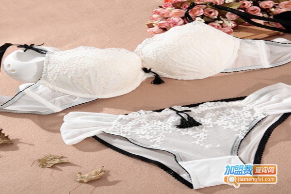 白灵之美内衣加盟费