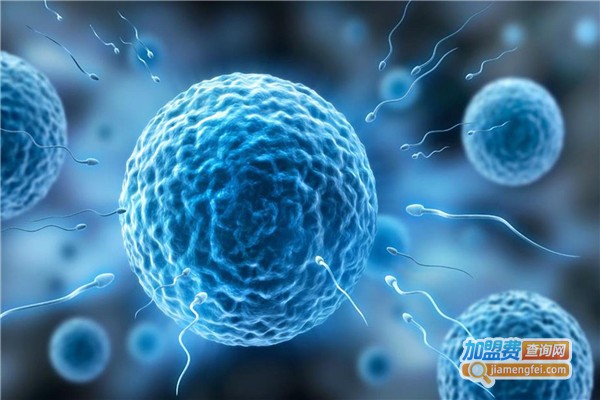 优胜网校加盟费