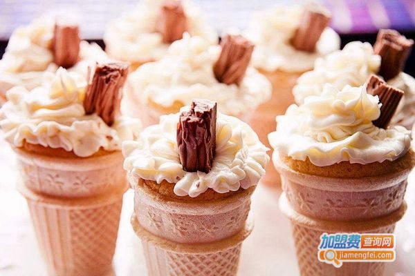 大多福冰淇淋加盟费