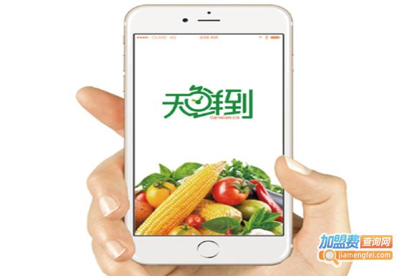 天鲜到