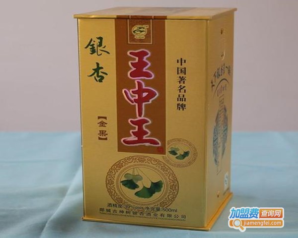 银杏王中王酒加盟