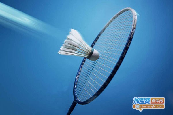 桂昌立羽毛球加盟门店